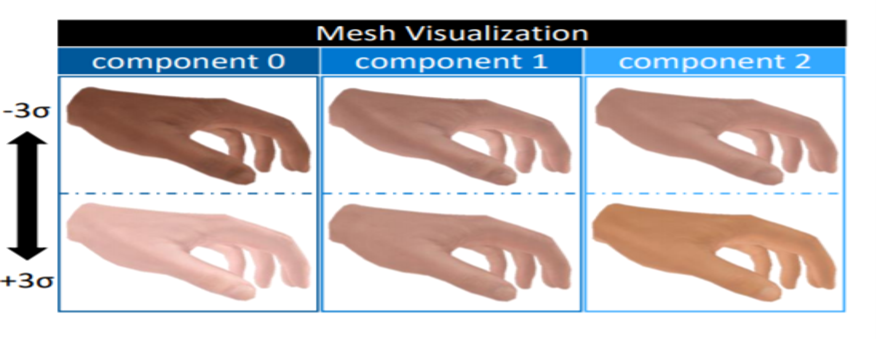 HTML: A Parametric Hand Texture Model for 3D Hand Reconstruction and Personalization